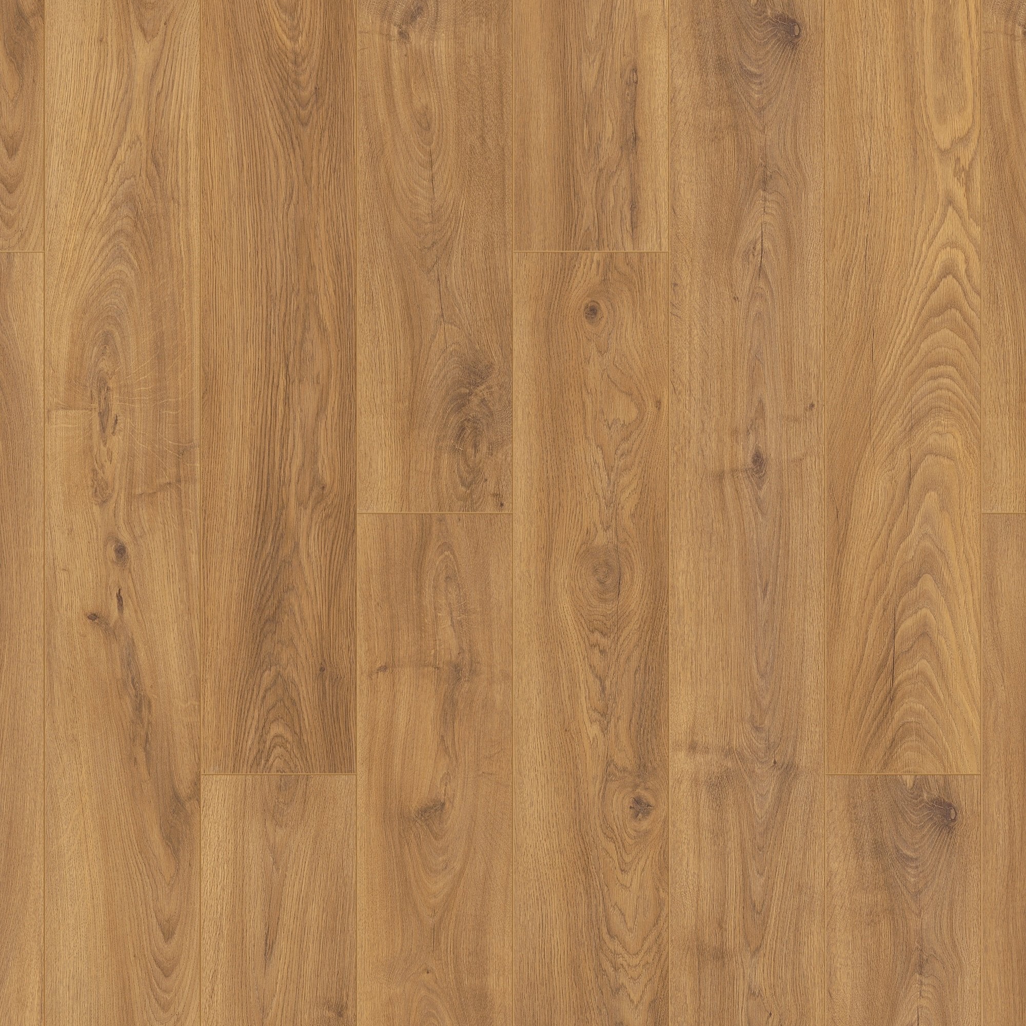 AKTION »Eiche Charme« Laminat Landhausdiele 8mm 1m²