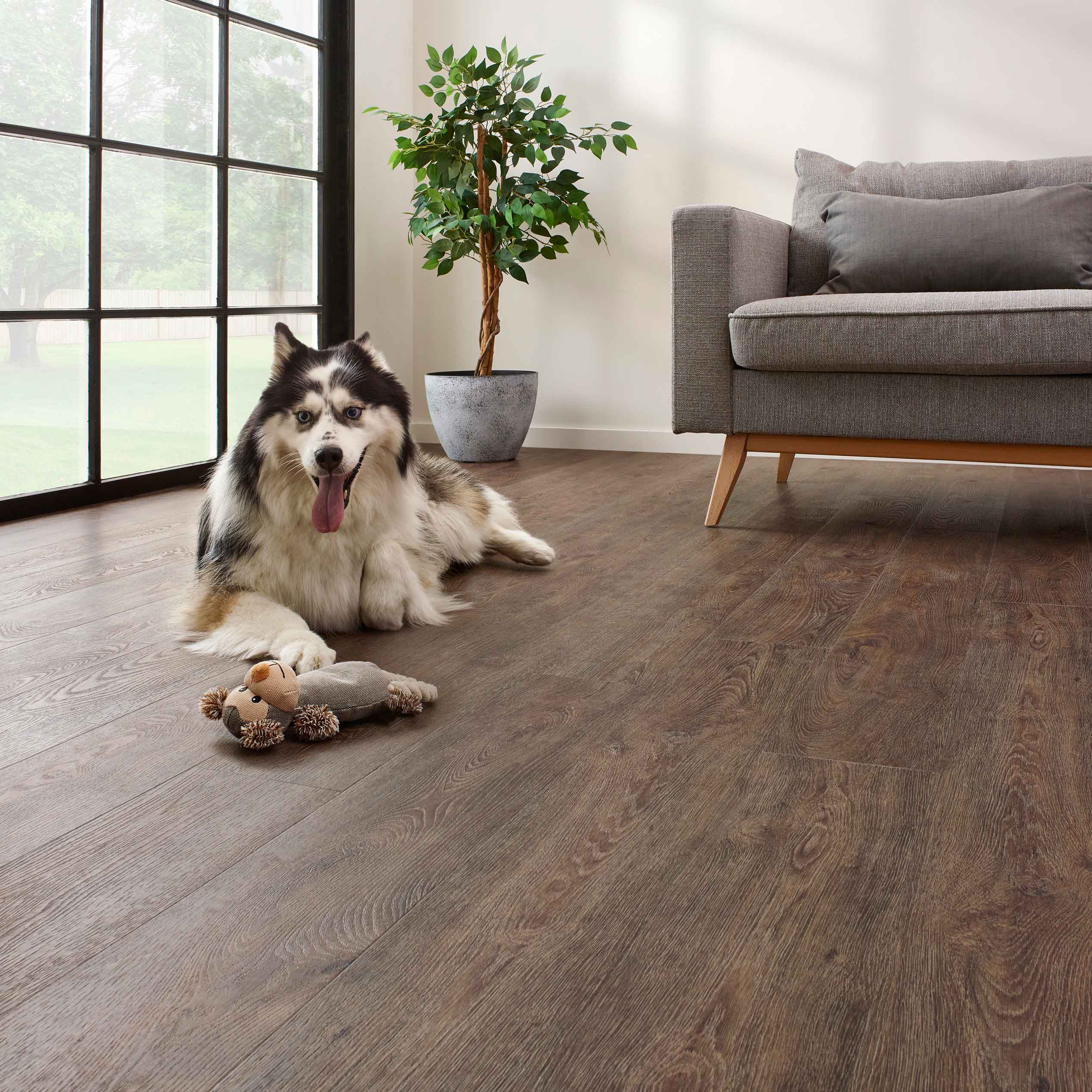 COREtec® Jasper Oak 01 | 50 LVR 9601