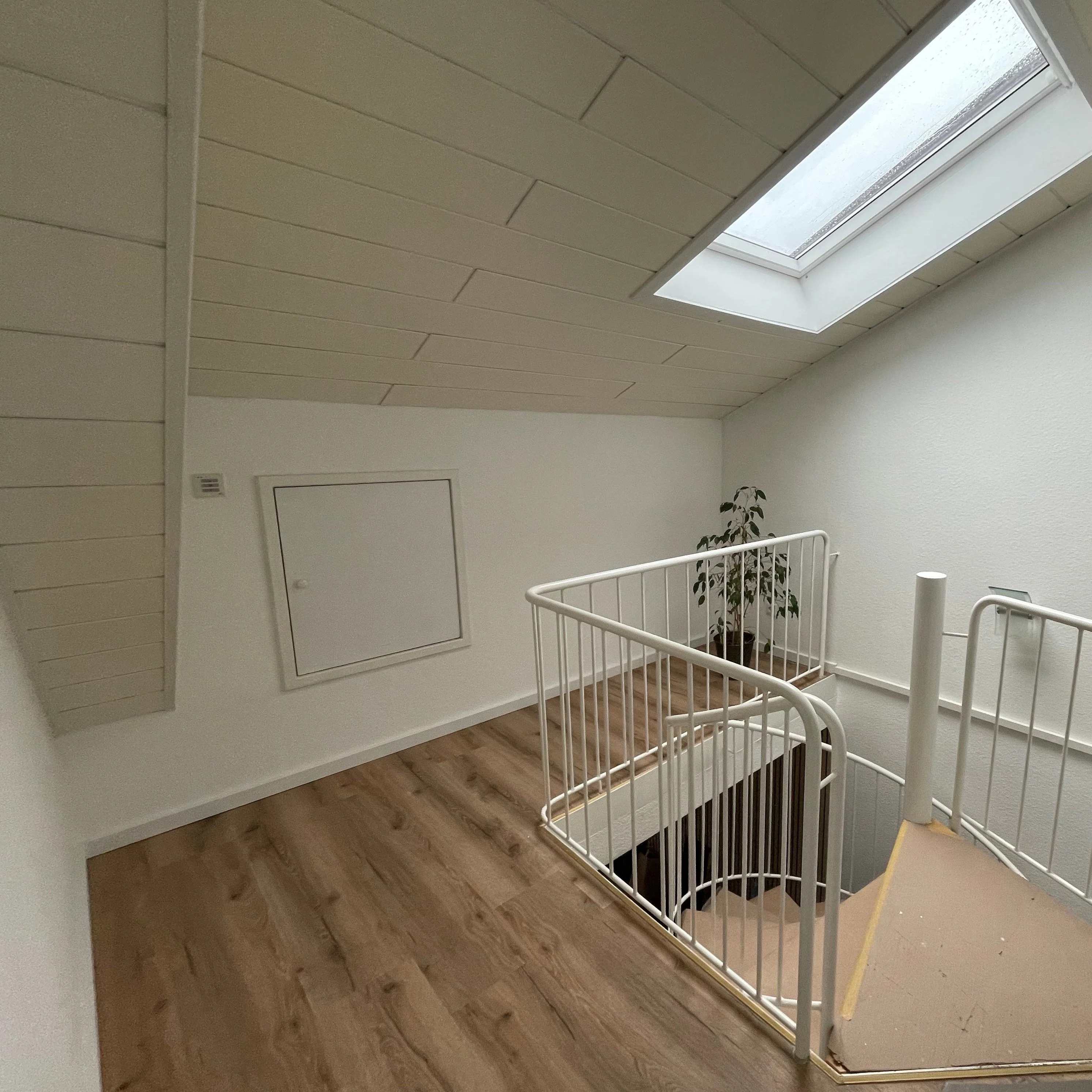 »Maple Oak« Premium Klick-Vinyl 1m² - Image 6